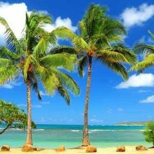 Meet your Posher, Karry